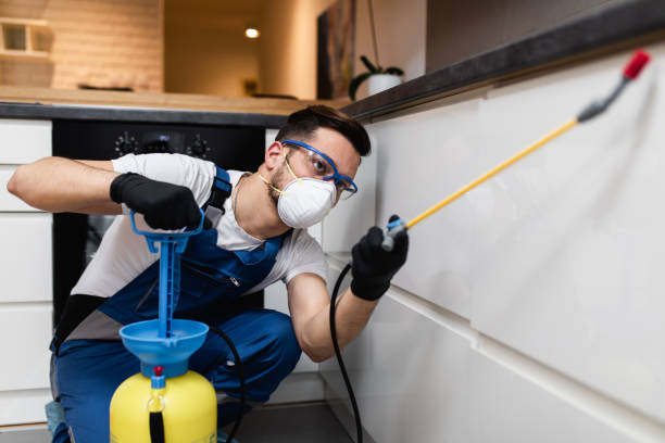 Best Pest Control for Homes  in Newport, DE