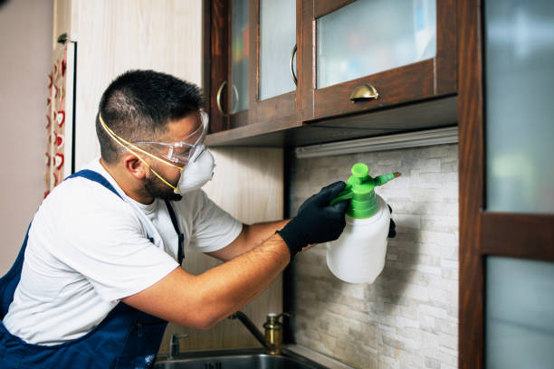 Flea Control Services in Newport, DE