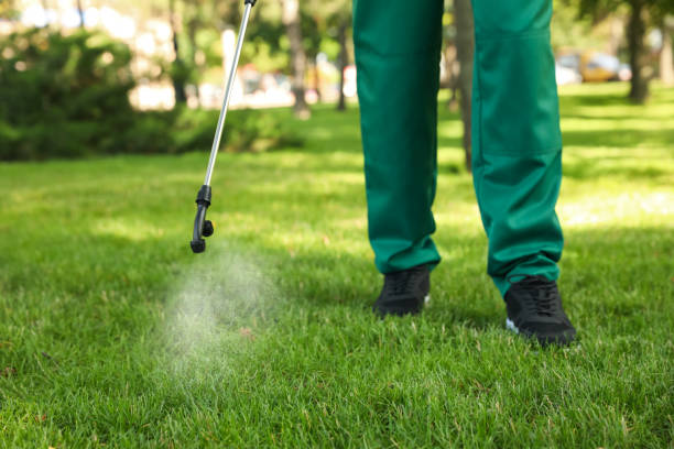 Best Best Pest Control Companies  in Newport, DE