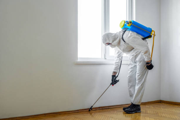 Best Local Pest Control Services  in Newport, DE