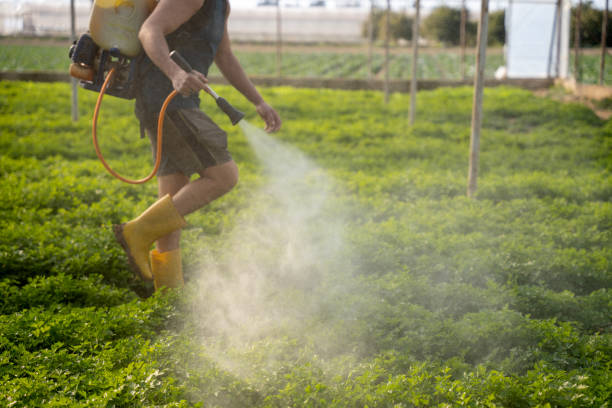 Best Mosquito Control Services  in Newport, DE