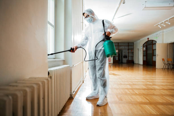 Best Bed Bug Extermination  in Newport, DE