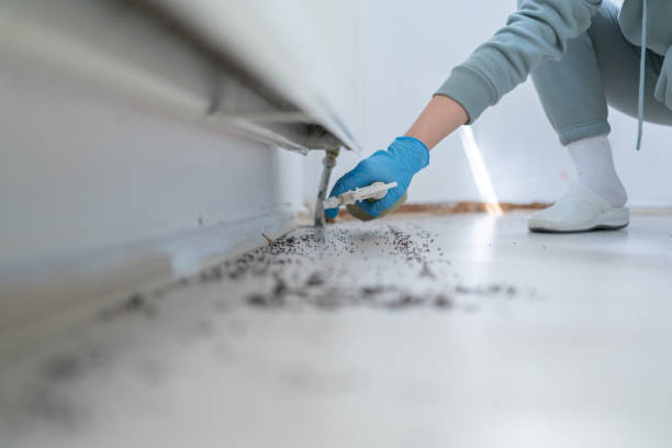 Professional Pest Control in Newport, DE